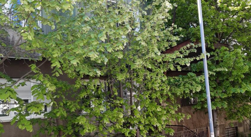 貝爾格勒 Victor Residence 4星级 单人房 泳池