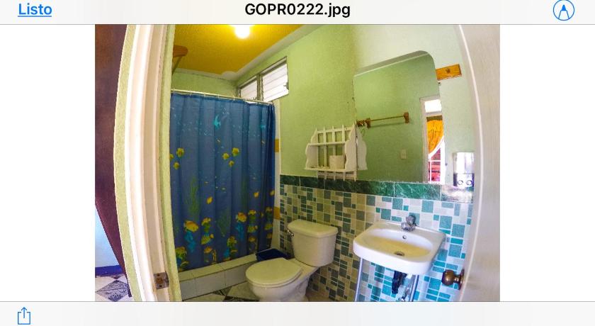 Hotel Amigo photo