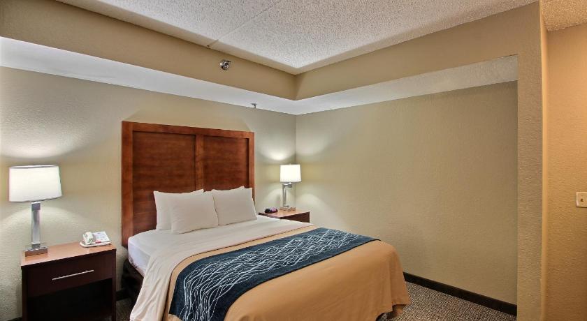 Comfort Inn and Suites Jackson - West Bend