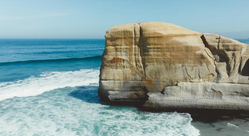 Ebb-Dunedin photo