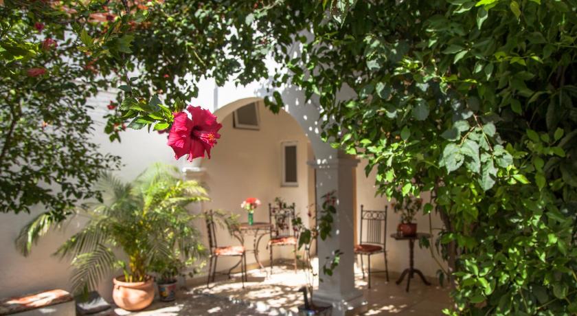 Hotel Casa San Miguel — Hotel in San Miguel De Allende