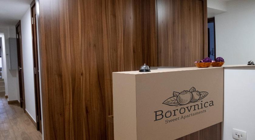 Borovnica Sweet Apartments photo