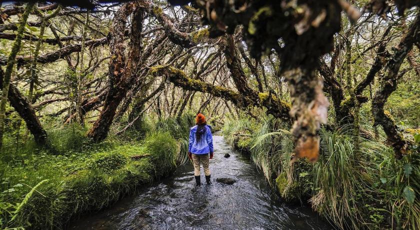 Polylepis Lodge — Hotel in Otavalo