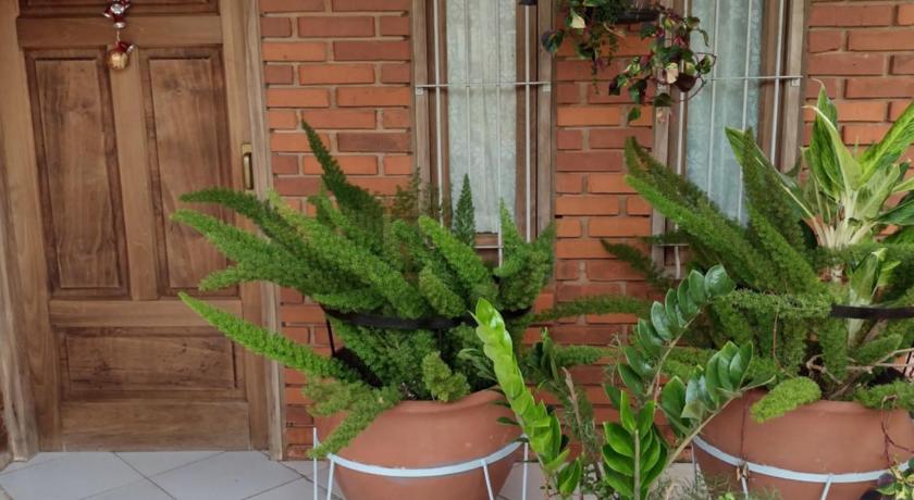 casa lucy photo