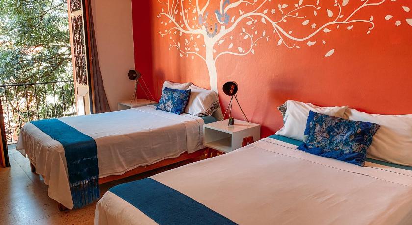 瓦哈卡 Azul Cielo Hostel 2星级 酒店 大堂