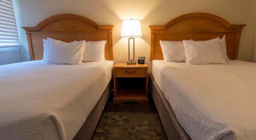 Image of Queen Room with Two Queen Beds - Poolside 5