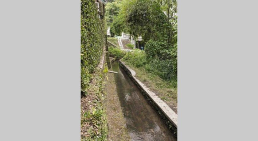 Rumah Kayu Joglo Yudhistira tepi sungai 2BR - image 12