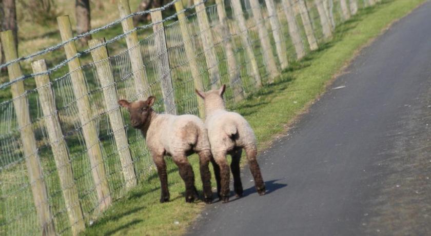 Ingon Bank Farm Bed And Breakfast photo