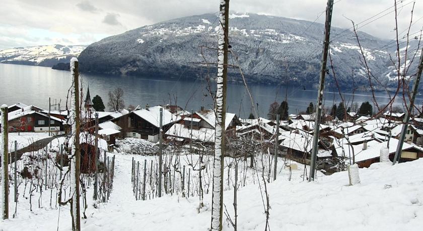 Hotel Rosengartli photo