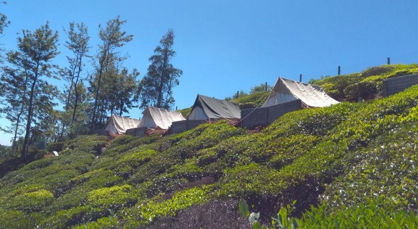 Janardan Tea Campsite Ooty — Hotel in Ooty