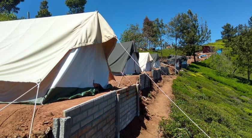 Janardan Tea Campsite Ooty photo