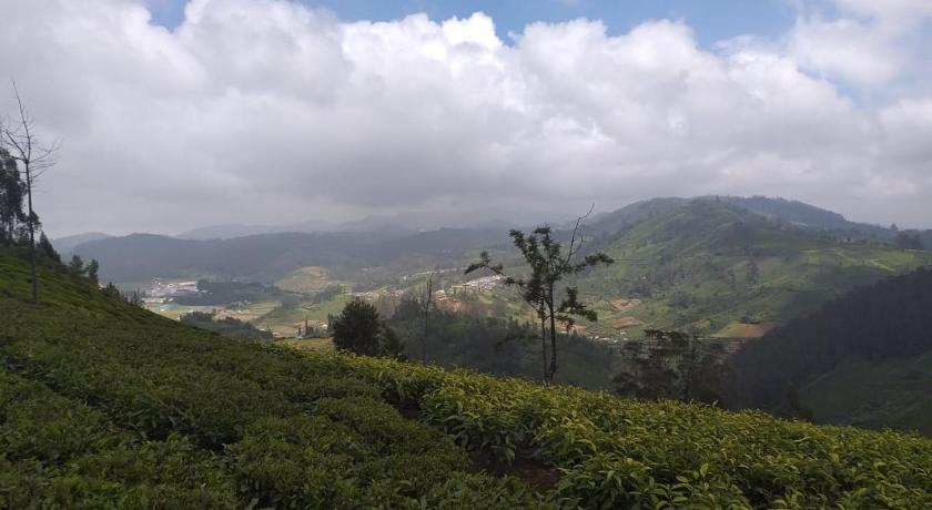 Janardan Tea Campsite Ooty photo