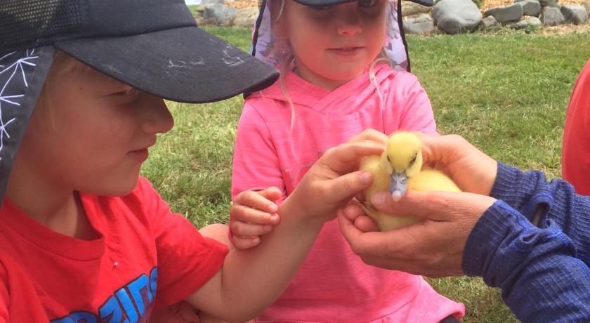 Mohaka River Farm photo