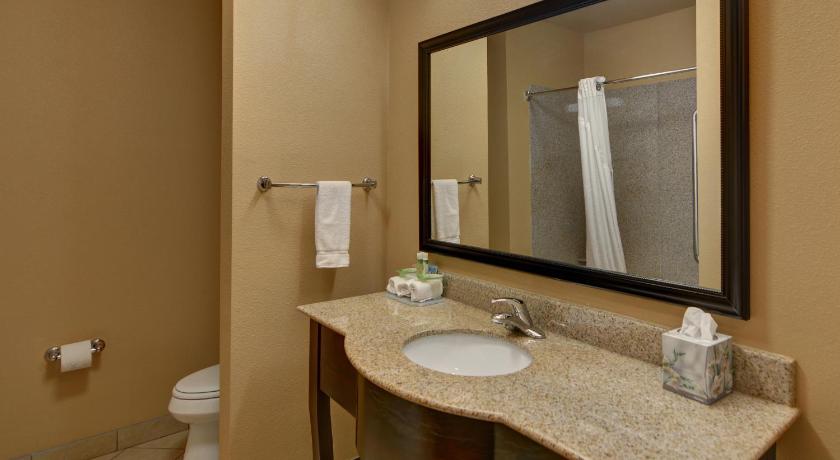 Holiday Inn Express Tyler South