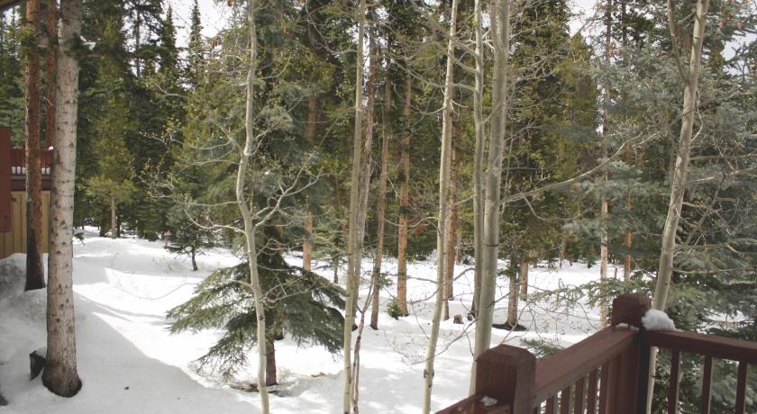 White Wolf #890 - Great Home with Private Outdoor Hot Tub - Shuttle to Slopes