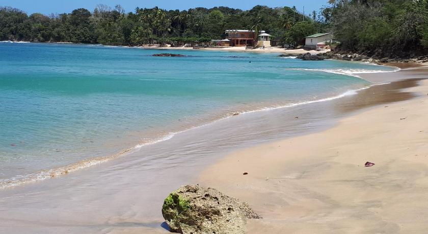 The Nest Tobago Apartments photo