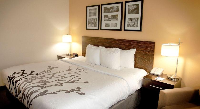 Sleep Inn and Suites Moundsville