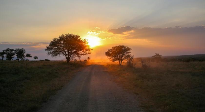 Osero Serengeti Luxury Tented Camp photo