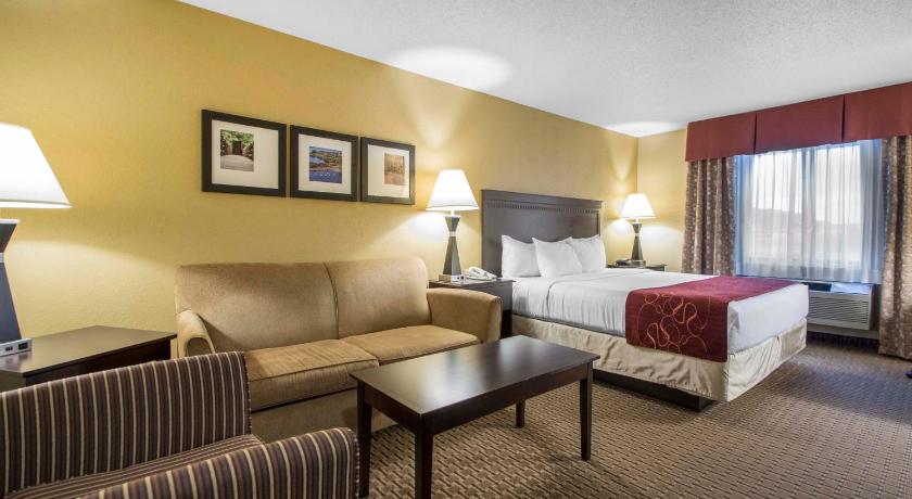 Comfort Suites Wisconsin Dells Area