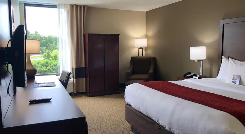 Image of 1 King Bed, Nonsmoking 8