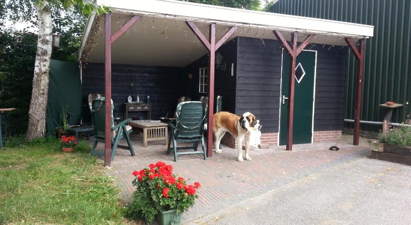 a dog is standing outside of a house, B&B de Rivierduin in Hattem