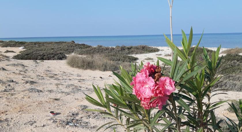 Dar Chick Yahia Ile De Djerba photo