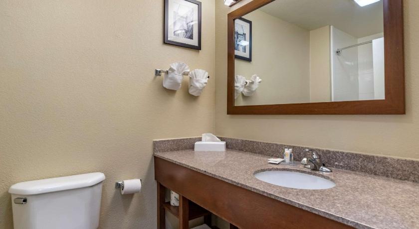Comfort Inn and Suites Texas Hill Country Boerne