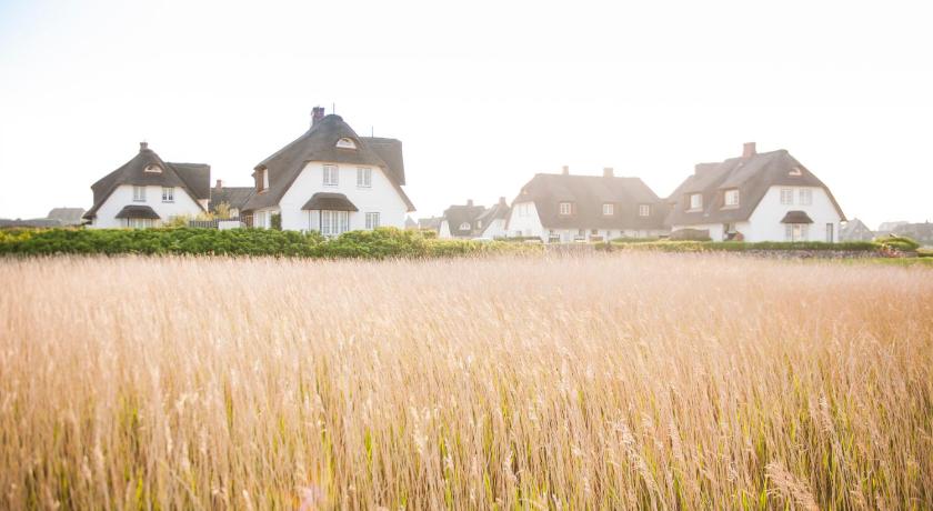 a large field with a bunch of tall grasses, Alte Strandvogtei Hotel garni in Sylt Ost
