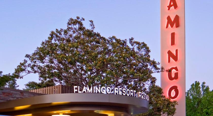 Flamingo Resort