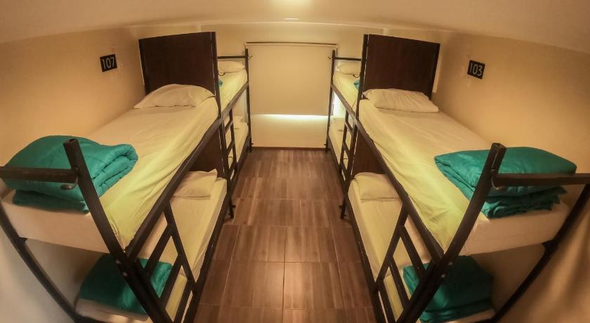 Bed in 8-Bed Mixed Dormitory Room, Folk Hostel in El Calafate