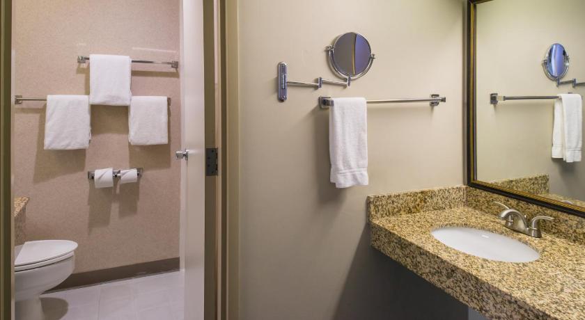 Holiday Inn Dublin - Pleasanton