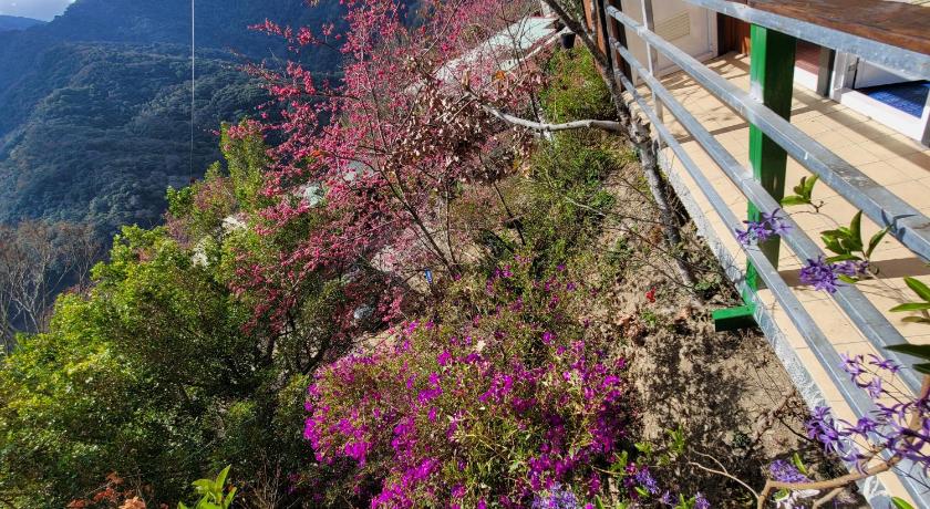 Lameizi Succulent Cafe Guesthouse photo