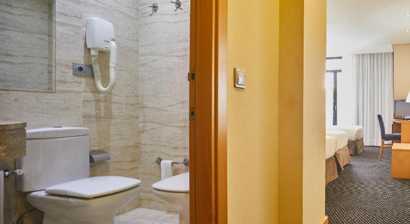 Hotel Silken Alfonso X