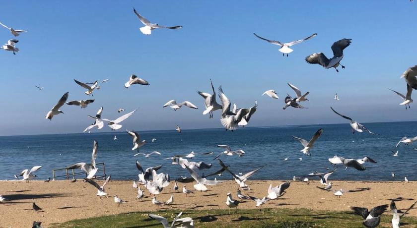 Yalova Merkez - image 6