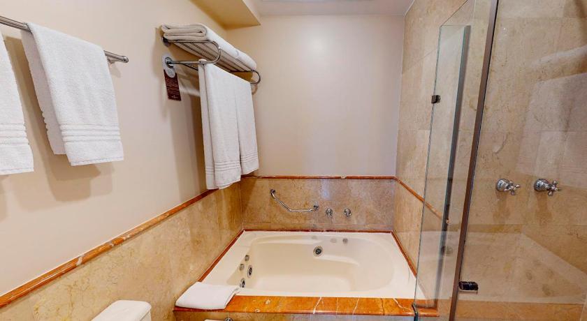 Image of Queen Suite with Spa Bath 9