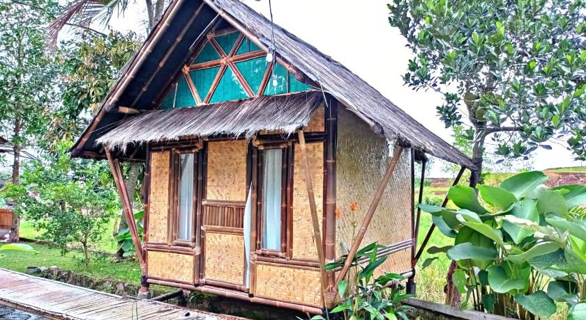 Paddies Homestay New photo