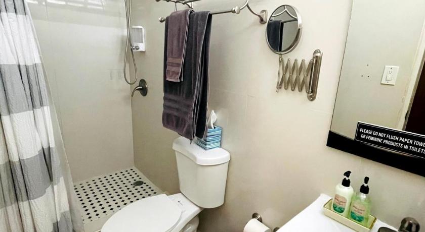 Cozy apartment with pkg and laundry. Pet friendly photo