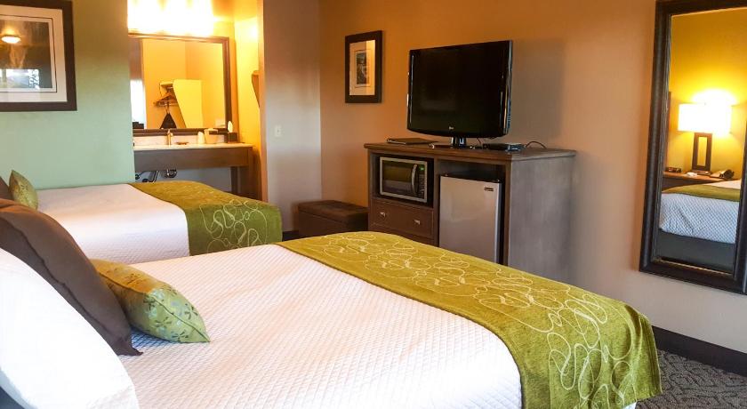 フォークス (WA) Pacific Inn Motel 3つ星 宿泊施設 眺望