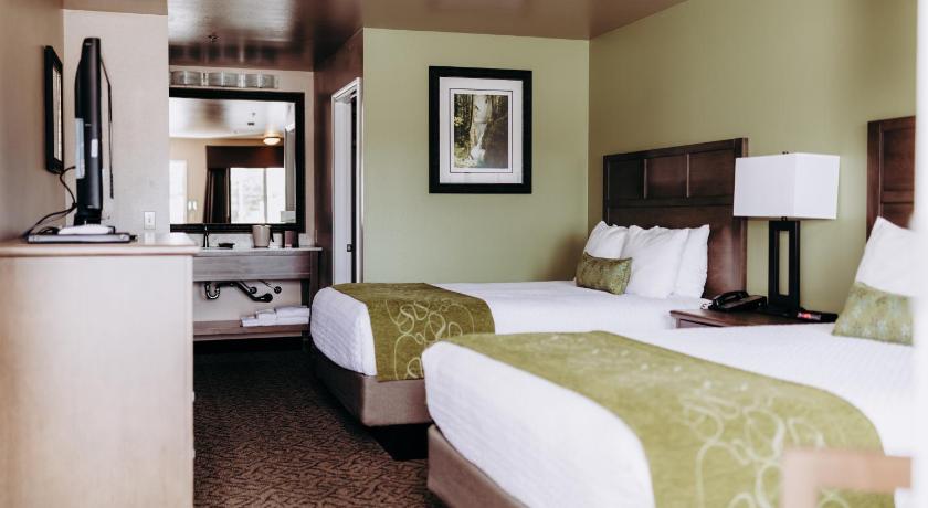 フォークス (WA) Pacific Inn Motel 3つ星 宿泊施設 スイート
