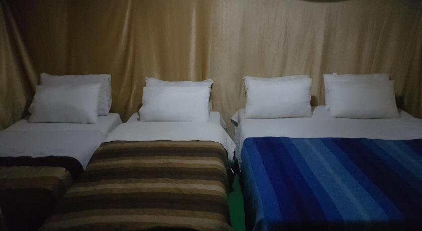 Image of Standard Tent (4 Adults) 0