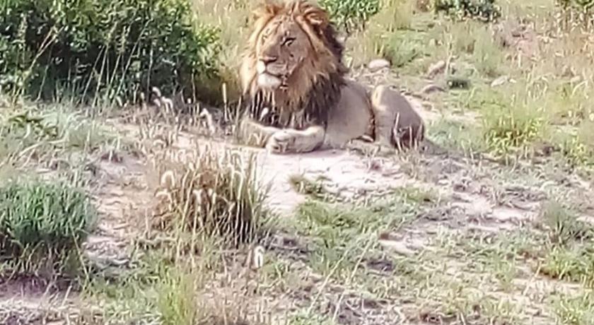 Griffons Bush Camp photo