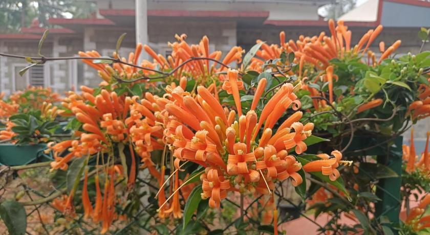 Coorg Kolamotte photo