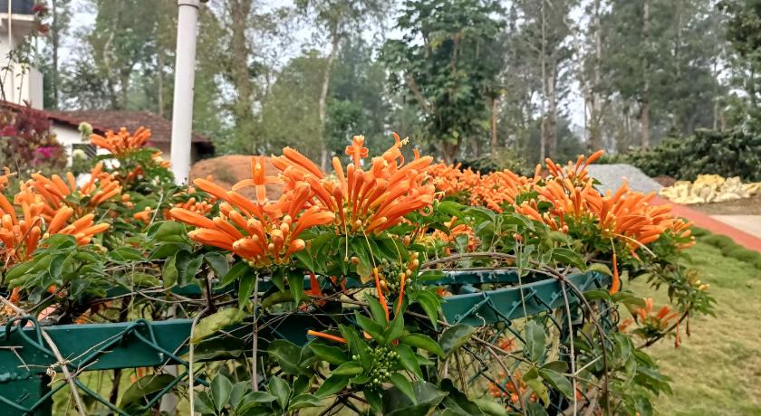 a pile of carrots sitting on top of a table, Coorg Kolamotte in Coorg