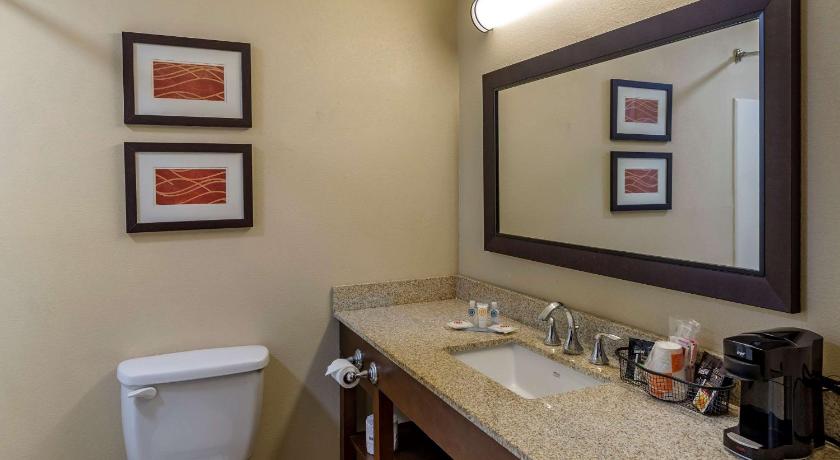 Comfort Inn Opelika - Auburn