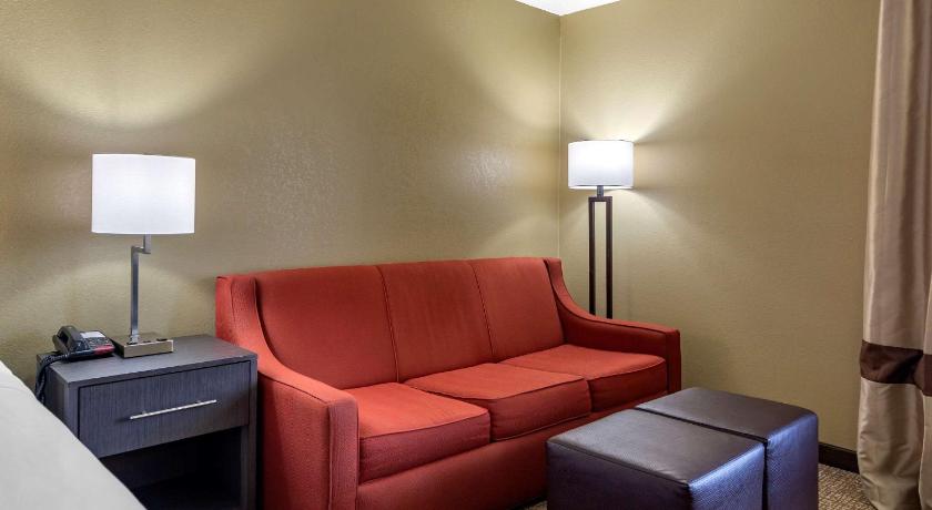 Comfort Inn Opelika - Auburn