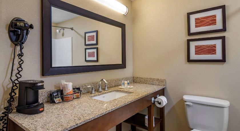 Comfort Inn Opelika - Auburn