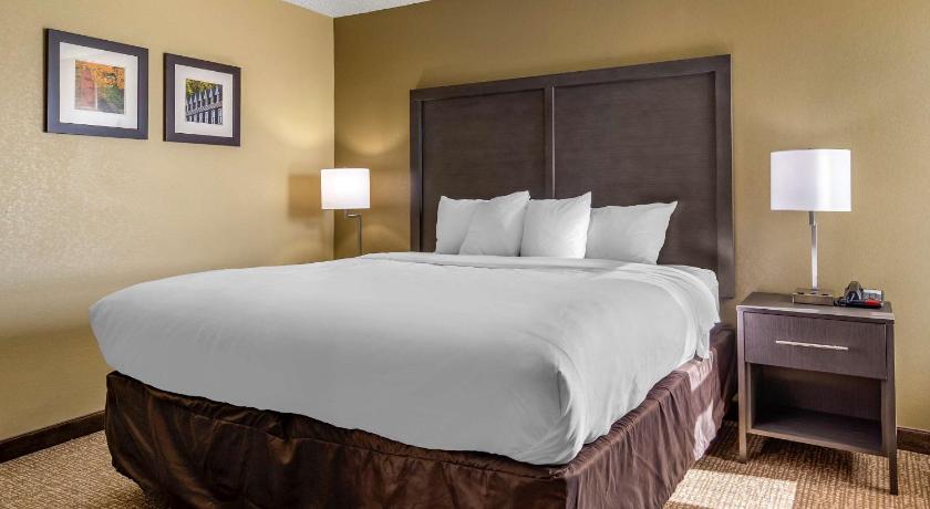 Comfort Inn Opelika - Auburn