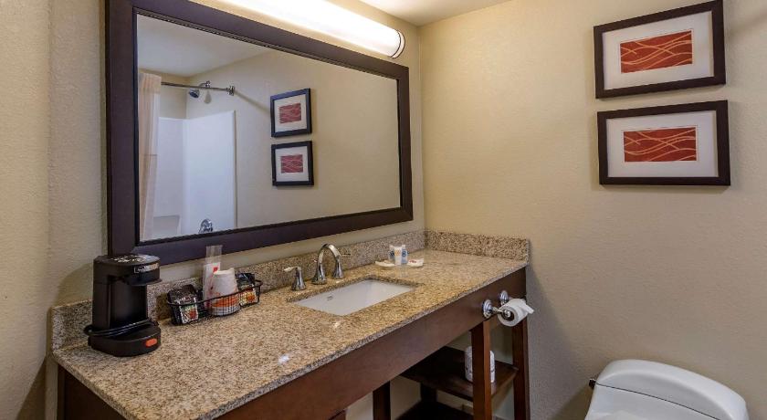 Comfort Inn Opelika - Auburn