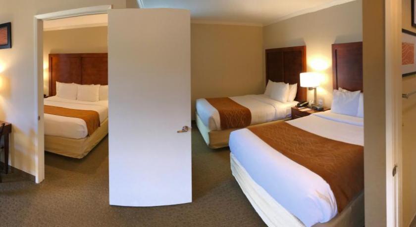 Immagine di 1 King Bed, 2 Queen Beds, Nonsmoking 5
