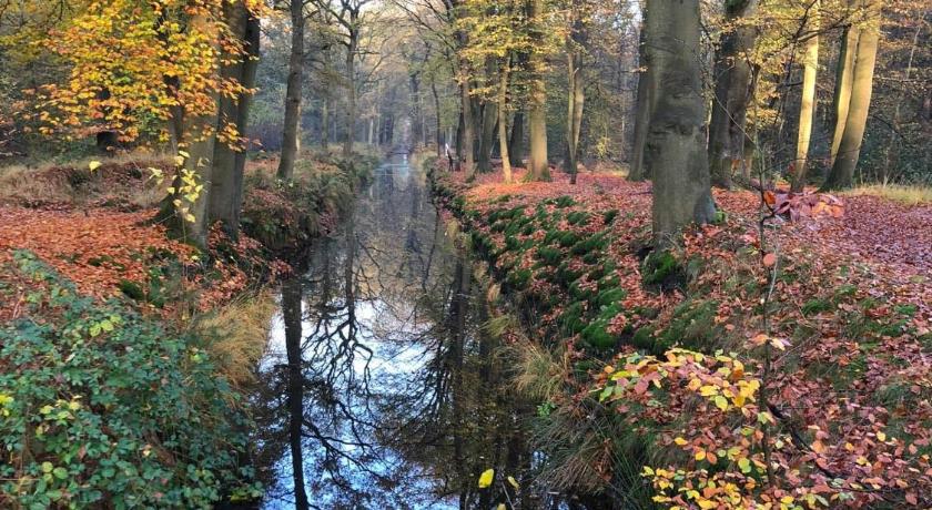 弗里斯湖区 Vakantiehuis Doelestee 4星级 单人房 大堂